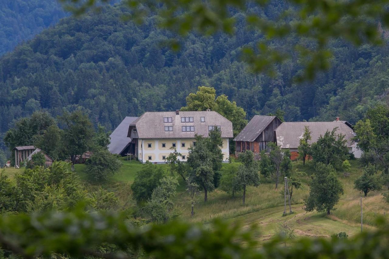 Apartment Krnicar Zgornje Gorje Exteriör bild