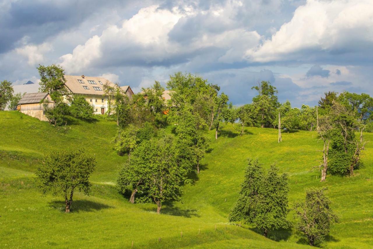 Apartment Krnicar Zgornje Gorje Exteriör bild